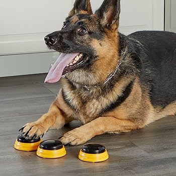 Recordable Talking Pet Buttons