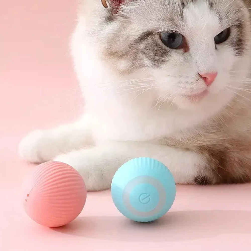 Interactive Cat Toy Ball